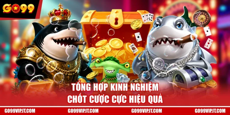Tổng hợp kinh nghiệm chốt cược cực hiệu quả